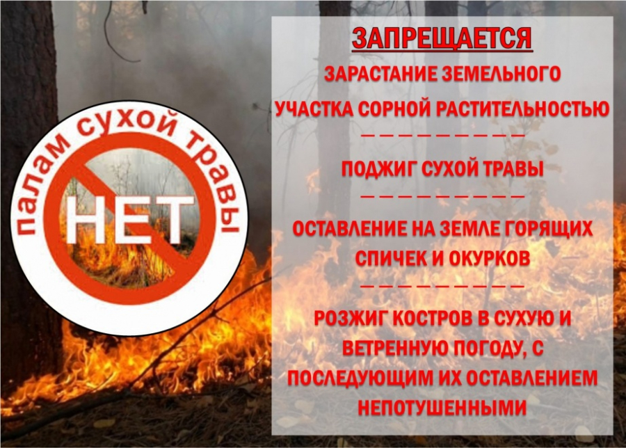 пал сухой травы