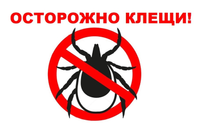 Осторожно - клещи