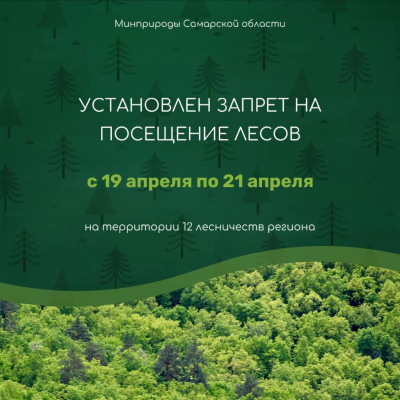 Запрет на посещение лесов!
