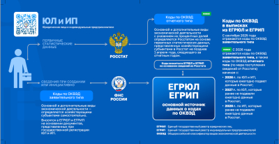 ФНС России напоминает, как вносятся коды ОКВЭД в реестры ЕГРЮЛ и ЕГРИП