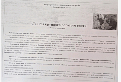 Внимание❗ Лейкоз крупного рогатого скота
