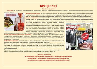 Памятка по профилактике бруцеллёза для работников животноводческих хозяйств и предприятий но утилизации биоотходов