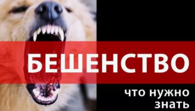 Информация о бешенстве