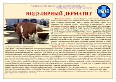 Памятка для населения ЗУД КРС