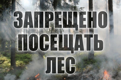 Внимание, установлен запрет на посещение лесов