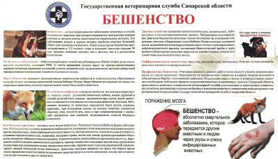 Ящур, Бешенство, Лептоспироз, Бруцеллез, Лейкоз, АЧС, Грипп птиц
