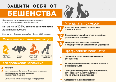 осторожно - бешенство!