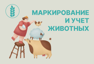Важные нововведения Минсельхоза РФ в сфере маркирования и учёта животных.