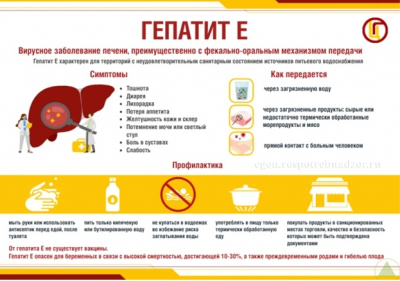 ГЕПАТИТ Е