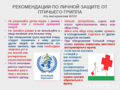 Внимание! Рекомендации по личной защите от птичьего гриппа