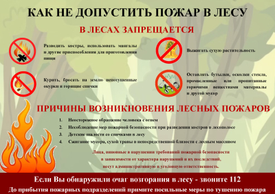 ПРАВИЛА ПРОТИВОПОЖАРНОГО РЕЖИМА В РОССИЙСКОЙ ФЕДЕРАЦИИ
