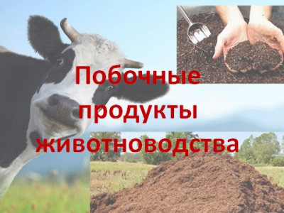 О побочных продуктах животноводства и о внесении изменений в отдельные законодательные акты Российской Федерации