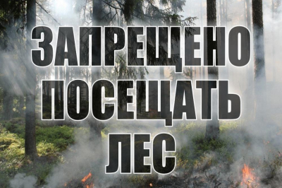 Запрет на посещение леса