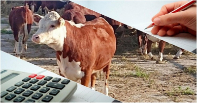 ВНИМАНИЕ! 21.05.2024 в 15.00 состоится информационная встреча по субсидиям КРС