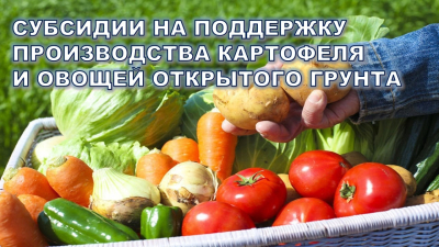 Овощной сезон