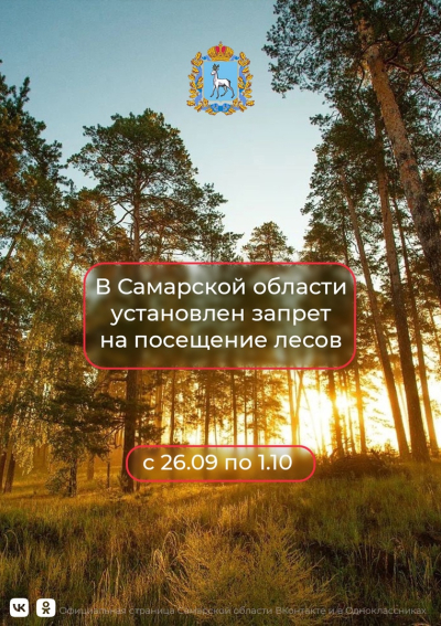 В Самарской области установлен запрет на посещение лесов!